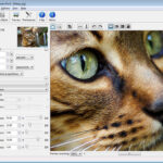 complemento benvista photozoom pro 810 para win photoshop.jpg