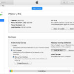 descarga gratuita de apple itunes 121261 x86x64.jpg