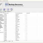 descarga gratuita de systools sql backup recovery 111.jpg