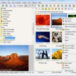 faststone image viewer 77 corporativo multilingue descarga gratuita.jpg