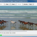 flashav software ffmpeg vcl componentes v73a para delphi 103 descargar.jpg