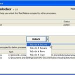 iobit unlocker 13011 descarga gratuita multilingue.jpg