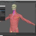 jiva dynamics jiva vfx v1922 x64 para maya descarga gratuita.jpg