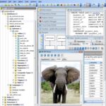 postgresql maestro 221001 descarga gratuita multilingue.jpg