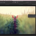 serif affinity photo 11051342 x64 200 200 macos descarga gratuita.jpg