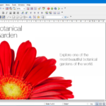 softmaker office professional 2021 rev s10581113 descarga gratis.png