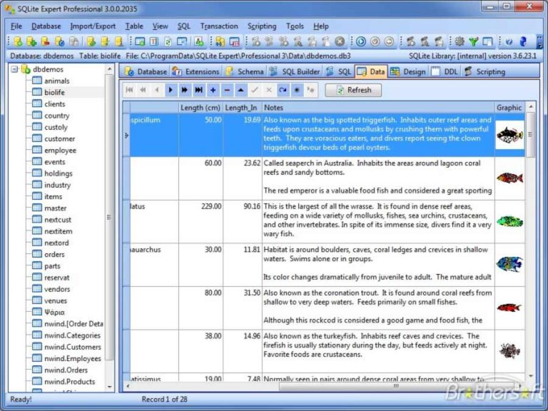 Experto en SQLite