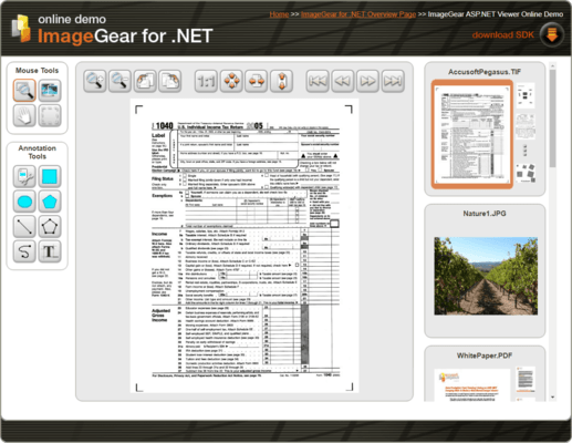 Accusoft ImageGear para .NET