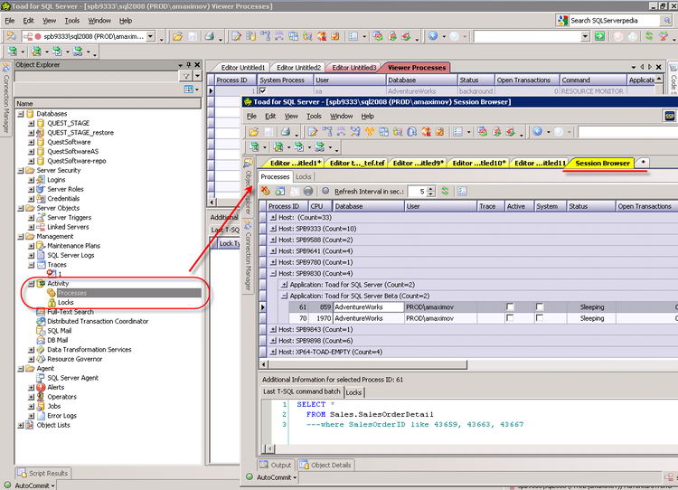 Sapo para SQL Server